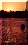 Sea Sunset